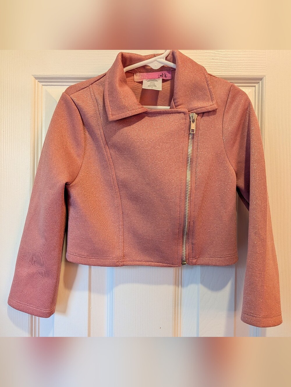 Shimmery Little Girls Pink Blazer 4T